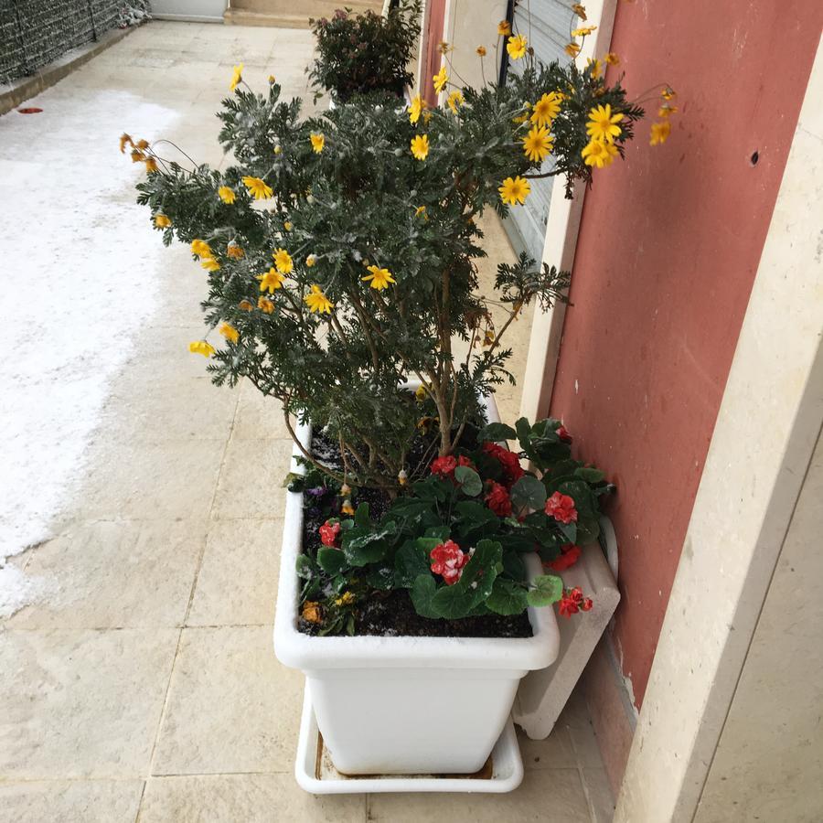 Amaranto Bnb Matera Bagian luar foto